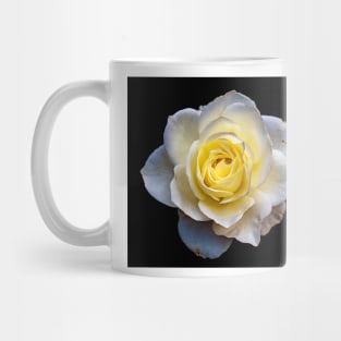 White Rose Mug